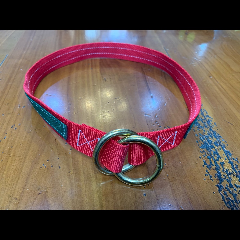 Dog slip collar 24”